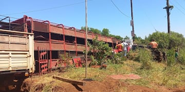 Loreto: un colectivo chocó contra vacunos sobre la ruta.