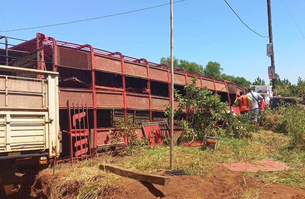 Loreto: un colectivo chocó contra vacunos sobre la ruta
