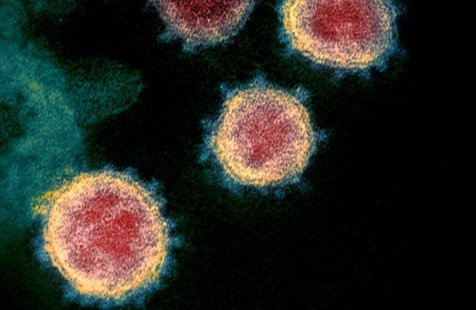 Coronavirus en Rafaela: 18 positivos