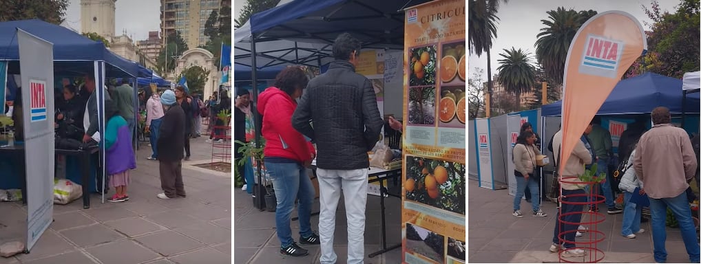 Distintas áreas del Instituto Nacional de Tecnología Agropecuaria (INTA) que trabajan en Jujuy montaron una exposición en la plaza Belgrano para socializar la extensa labor que se desarrolla en toda la provincia.