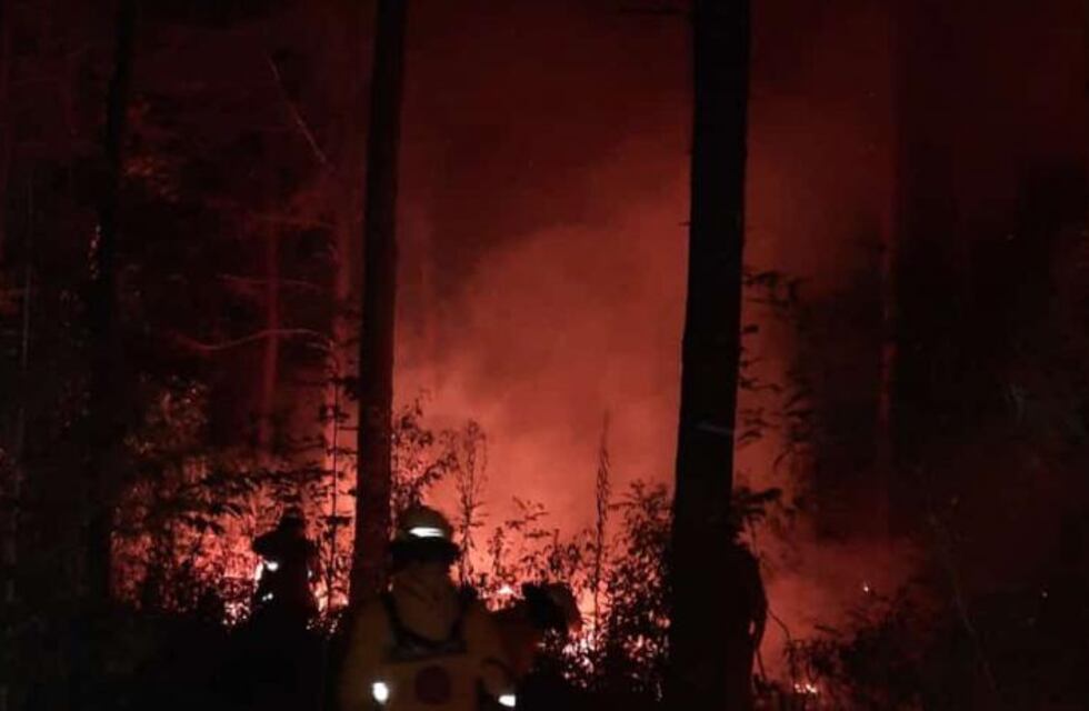 Más de una hectárea consumida por el fuego en un pinar de Picada 24