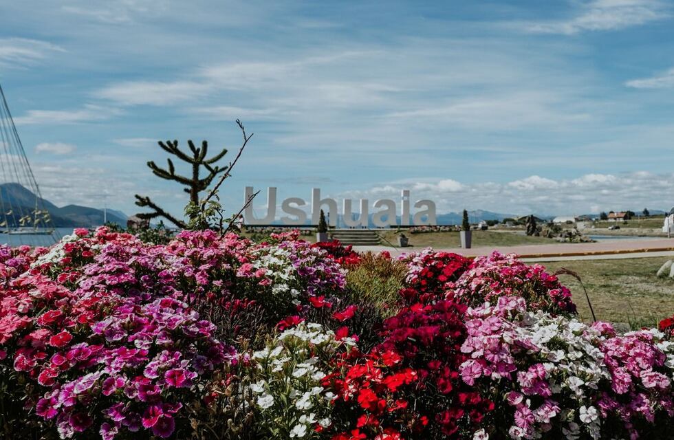 Con producción de plantas del Vivero Municipal se trabaja en los espacios públicos
