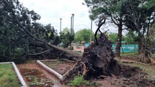 Los destrozos a causa del temporal.