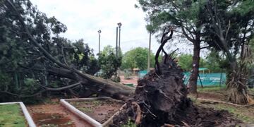 Los destrozos a causa del temporal.