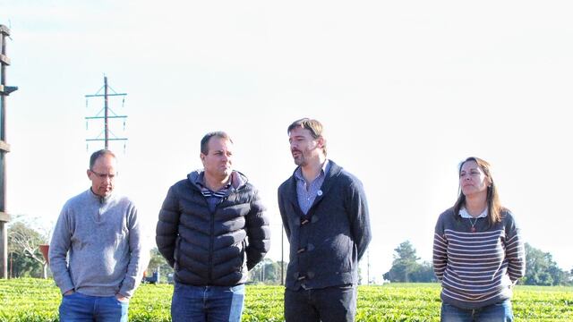 Campo Viera | Se llevo a cabo las Jornadas Técnicas Nacionales del Té