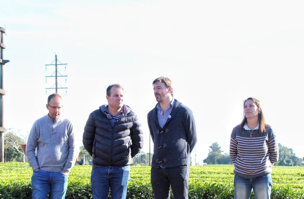 Campo Viera | Se realizaron las Jornadas Técnicas Nacionales del Té