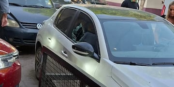 Un ataque de furia se registró este jueves 16 de octubre en Alta Gracia, provincia de Córdoba.
