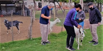 El Centro de Biotecnología enseña a alumnos de la Escuela Galileo Vitali de La Paz conocimientos de inseminación artificial y tranferencia de embriones. Gentileza Gobierno de Mendoza