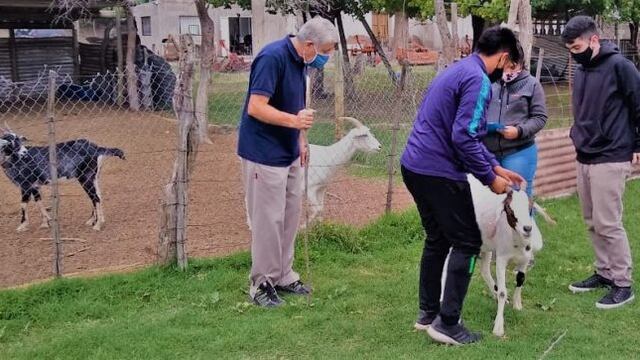 El Centro de Biotecnología enseña a alumnos de la Escuela Galileo Vitali de La Paz conocimientos de inseminación artificial y tranferencia de embriones. Gentileza Gobierno de Mendoza