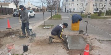 La Municipalidad de Tres Arroyos trabaja en la reparación de veredas