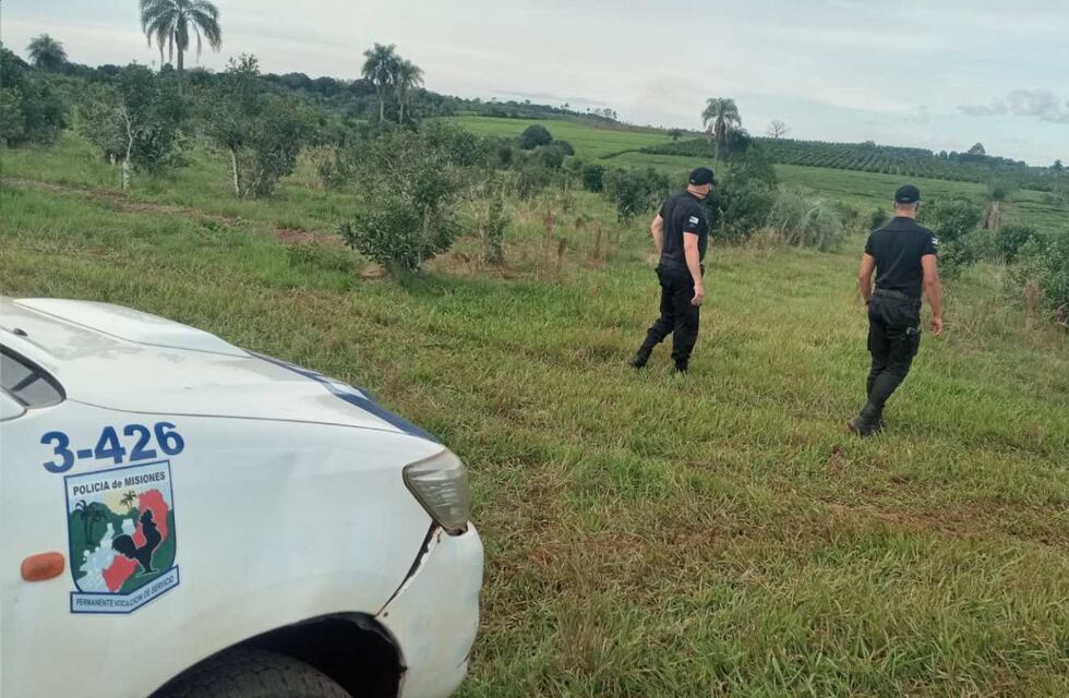 Tras un robo, recuperan 500 kilogramos de hoja verde en Campo Ramón