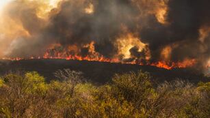Incendios en Córdoba. Las llamas, en Capilla del Monte, Valle de Punilla. (La Voz)