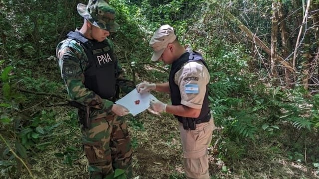 Decomisan 290 kilos de marihuana en un operativo de la Prefectura en Puerto Libertad.