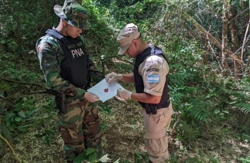 Decomisan 290 kilos de marihuana en un operativo de la Prefectura en Puerto Libertad