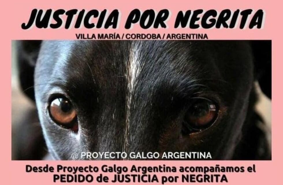 Maltrato animal en Villa María: imputaron a un hombre que atropelló, arrastró y mató a una perrita