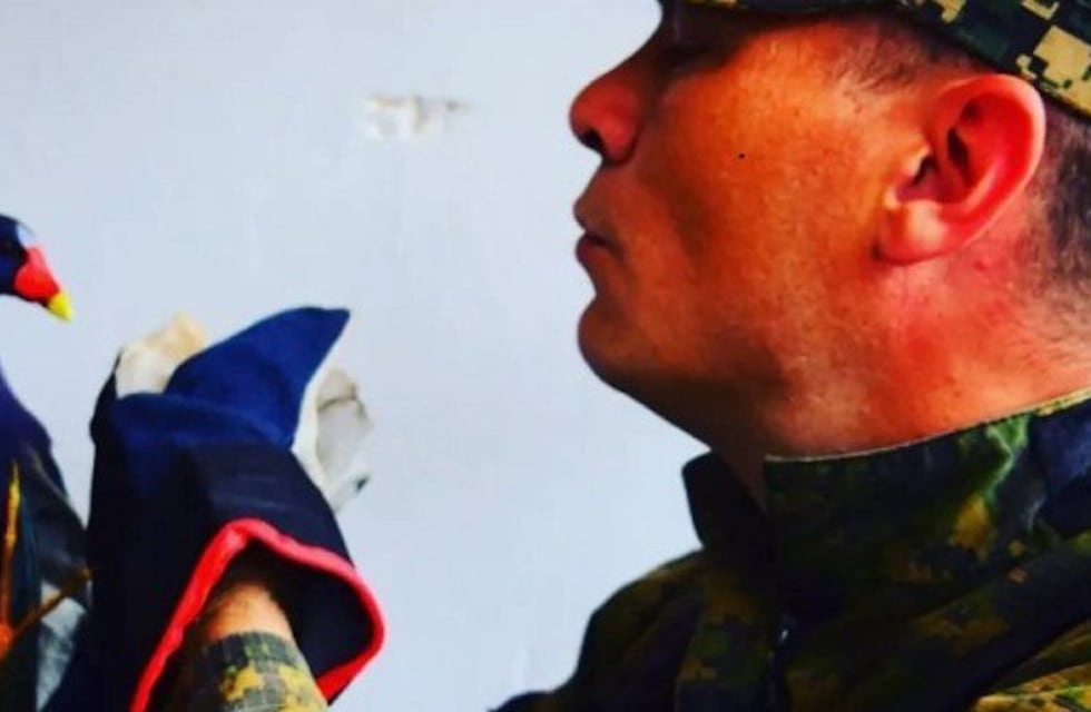 Posadas: recuperaron a un ave en peligro de extinción