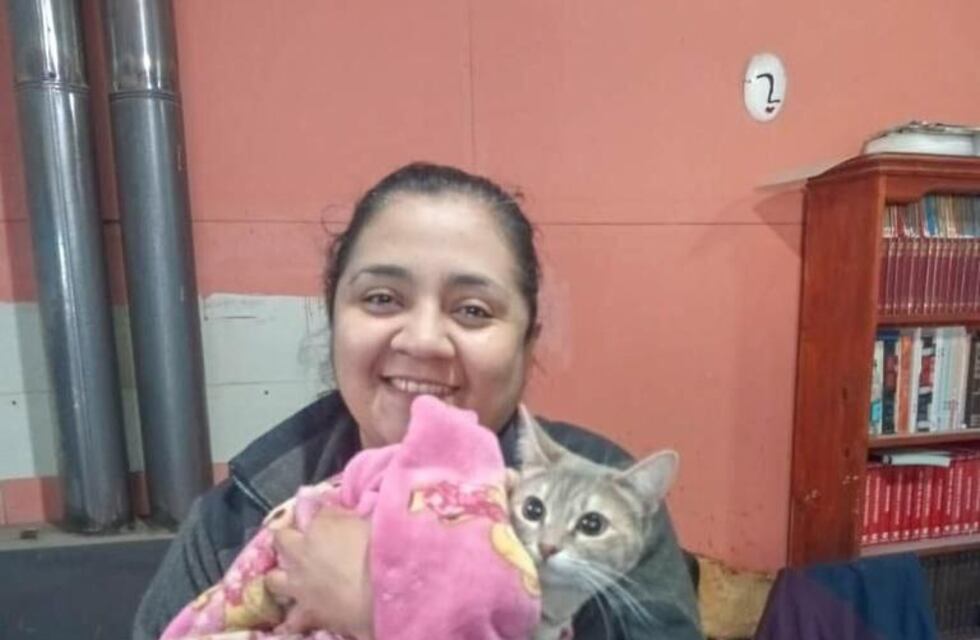 Castración de mascotas en el Dos Banderas