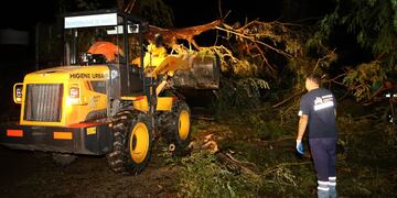 Matías Stevanato recorrió las zonas afectadas por la tormenta en Maipú.