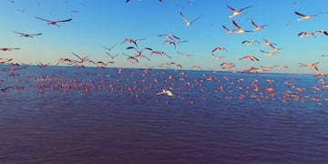 Conociendo Ansenuza, capítulo 7