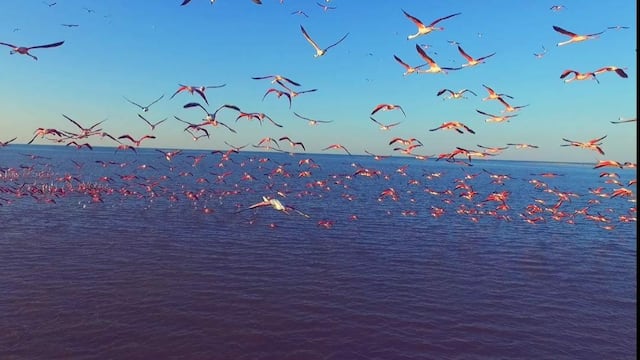 Conociendo Ansenuza, capítulo 7