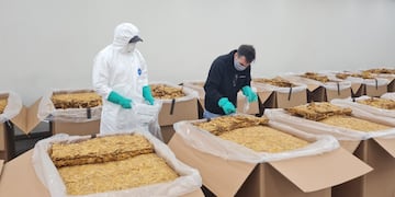 La Cooperativa de Tabacaleros de Jujuy trabaja permanentemente en la mejora de las condiciones de comercialización del producto.