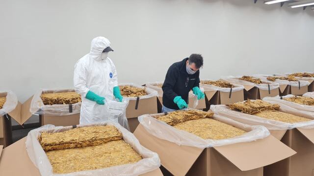 La Cooperativa de Tabacaleros de Jujuy trabaja permanentemente en la mejora de las condiciones de comercialización del producto.