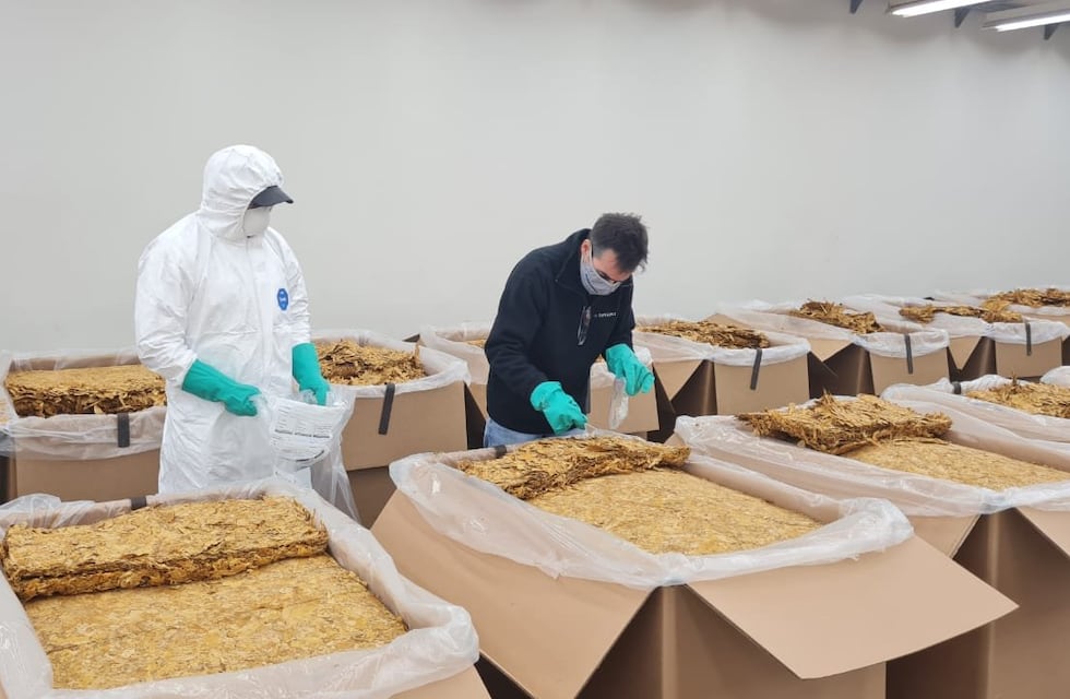 Buena noticia: sector productivo tabacalero recibe a estudiantes de Ingeniería de Jujuy