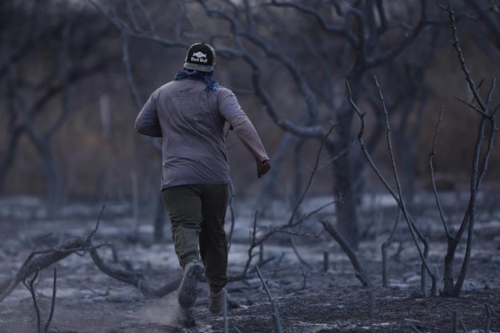 Un páramo. Así quedó la zona serrana de Charbonier tras el paso del fuego. Fue uno de los puntos de la geografía corobesa más afectados por los incendios de 2020. (La Voz)