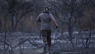 Un páramo. Así quedó la zona serrana de Charbonier tras el paso del fuego. Fue uno de los puntos de la geografía corobesa más afectados por los incendios de 2020. (La Voz)