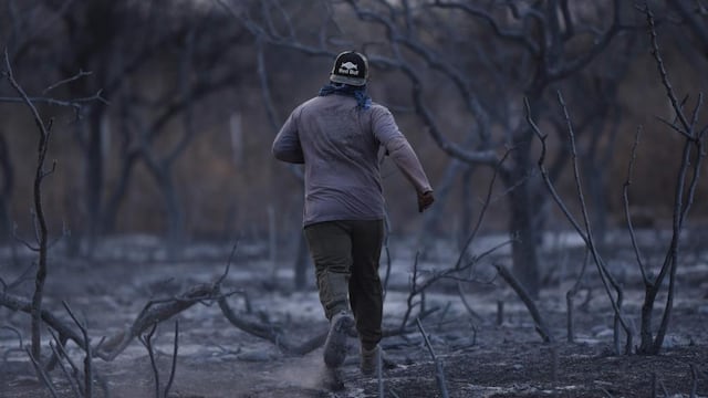 Un páramo. Así quedó la zona serrana de Charbonier tras el paso del fuego. Fue uno de los puntos de la geografía corobesa más afectados por los incendios de 2020. (La Voz)