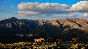 La travesía a caballo regala los mejores paisajes del Valle de Punilla. (Juan Montiel)