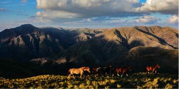 La travesía a caballo regala los mejores paisajes del Valle de Punilla. (Juan Montiel)