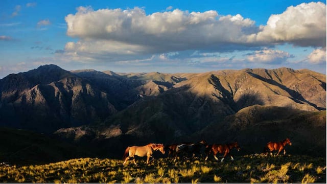 La travesía a caballo regala los mejores paisajes del Valle de Punilla. (Juan Montiel)