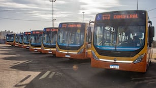 La empresa suma ocho nuevos coches para la línea 43 de urbanos de Córdoba. (Municipalidad de Córdoba).