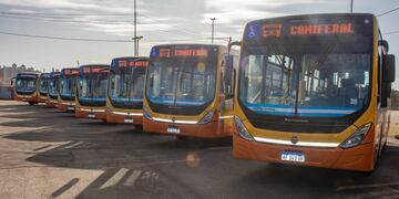 La empresa suma ocho nuevos coches para la línea 43 de urbanos de Córdoba. (Municipalidad de Córdoba).