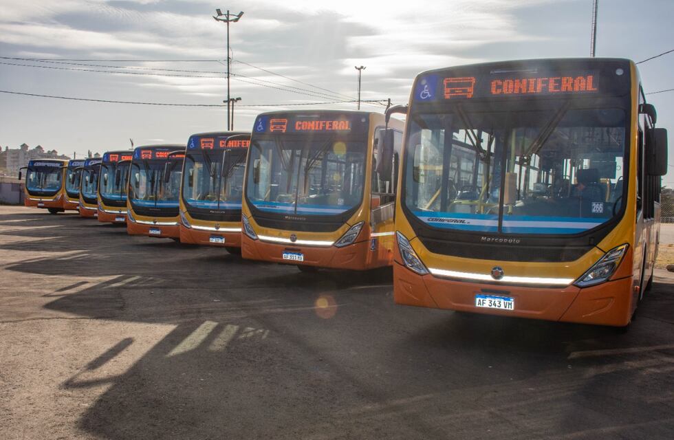 Hartos de los robos, chóferes de colectivos en Córdoba amenazaron con suspender el servicio