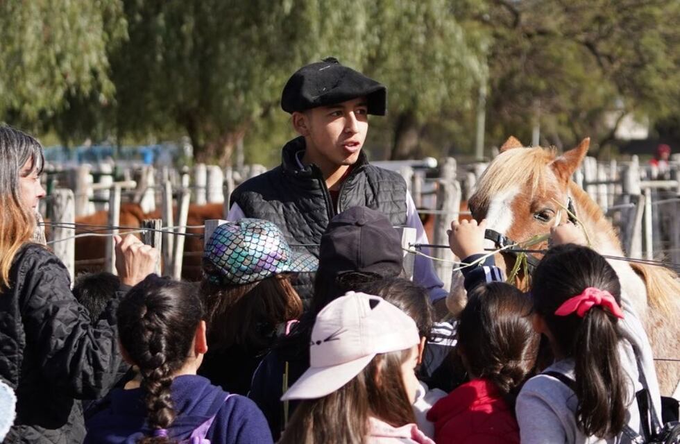 Expo Rural San Luis ya está en el ruedo entre remates y exposiciones