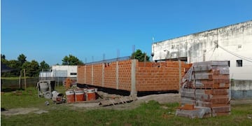 Acuden mascotas y grandes animales con derivaciones