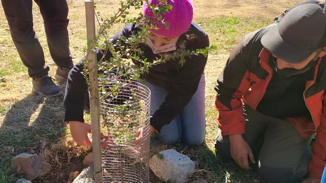Jornada de restauración y forestación en Parque Estancia la Quinta