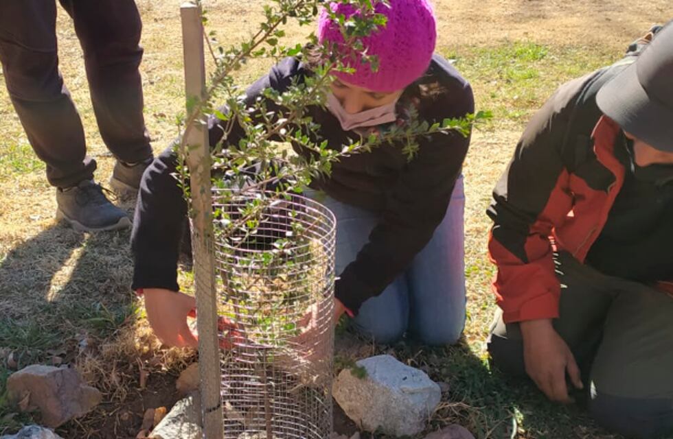 Jornada de restauración y forestación en Parque Estancia la Quinta