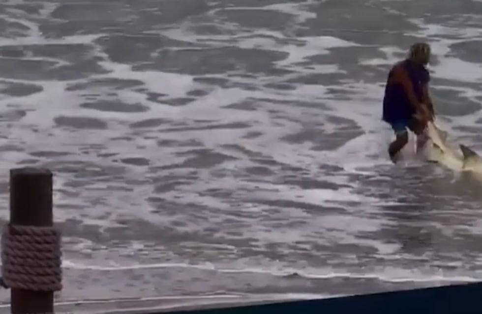 Un video registró el cruento ataque de un hombre que golpeó con un martillo a un tiburón que había pescado