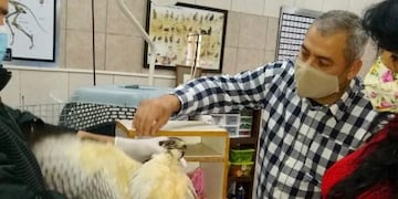 Desde Zoonosis Eldorado, insisten en el cuidado de animales silvestres.