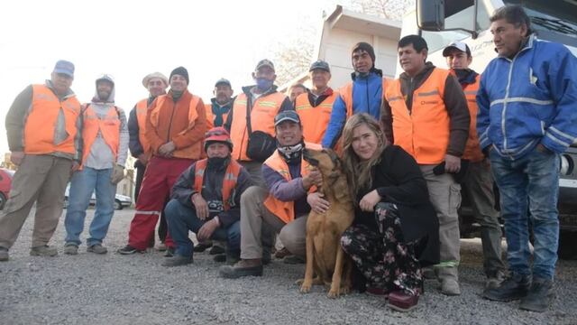 Flaco acompaña a los trabajadores recolectores de residuos todos los días en sus labores.