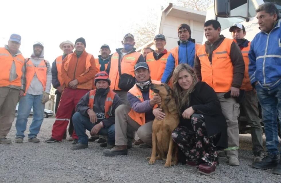 La historia de una “pareja” de perros que emociona a todos en San Juan