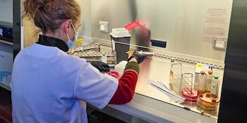 El Hospital Naval Puerto Belgrano incorporó nueva aparatología. (Foto: Gaceta Marinera).