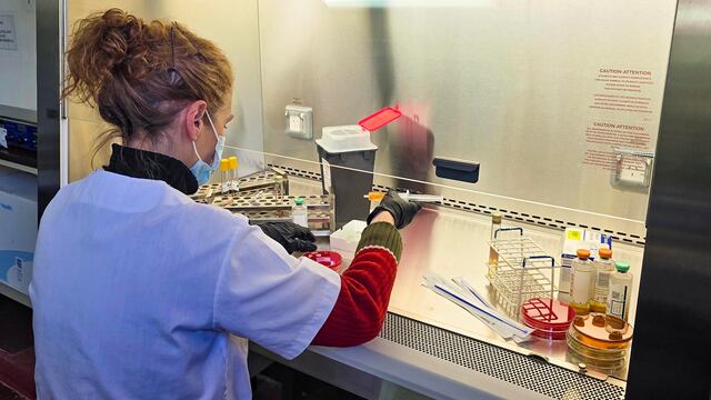 El Hospital Naval Puerto Belgrano incorporó nueva aparatología. (Foto: Gaceta Marinera).