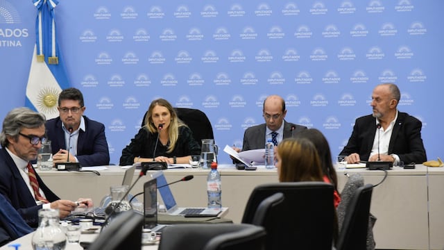 En la Comisión de Previsión y Seguridad Social de Diputados se firmaron tres dictámenes (Foto: HCDN)
