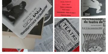 María Silvina Palloti