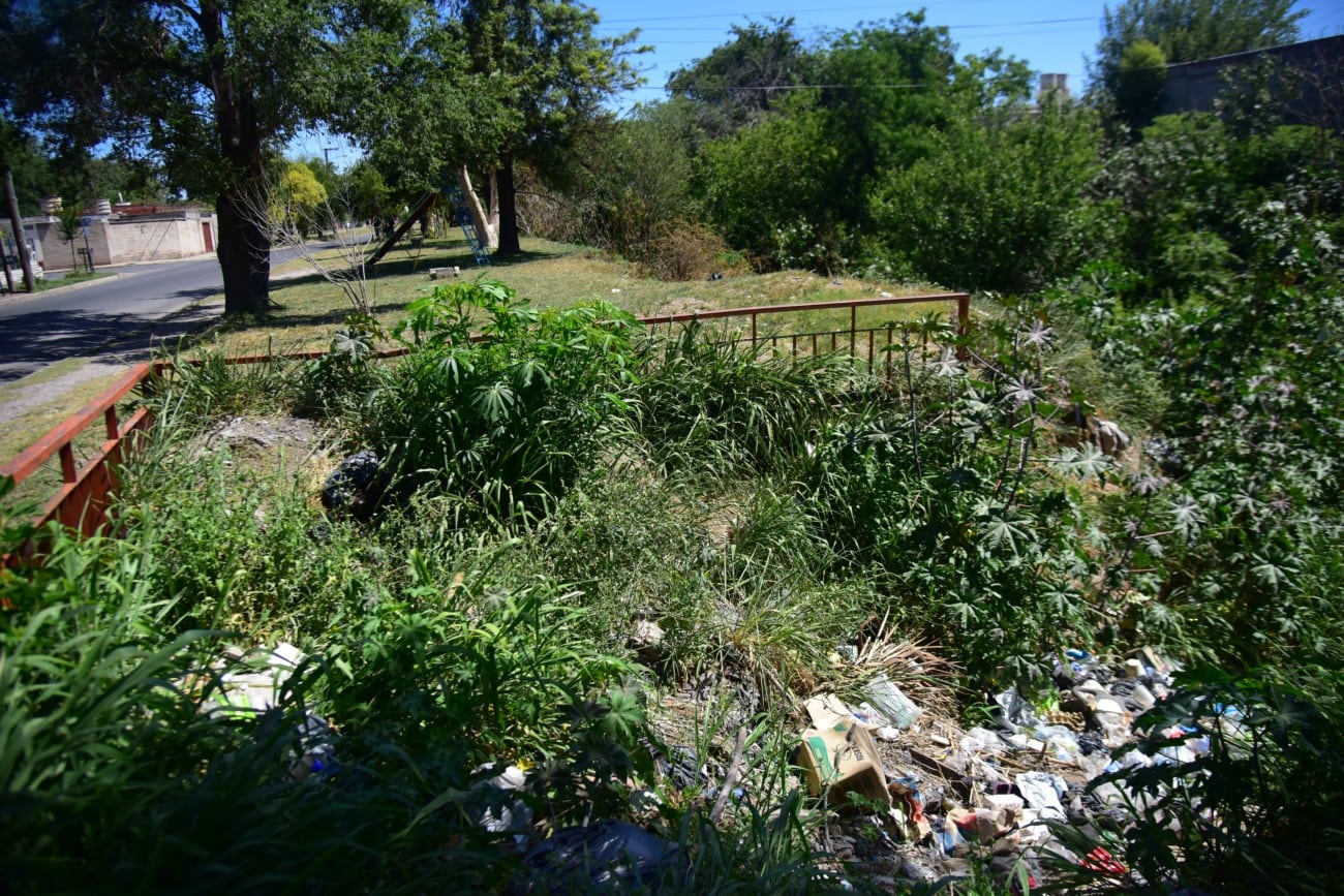 La fiscal Eugenia Pérez Moreno había ordenado más rastrillajes en la zona de barrio General Urquiza. (Pedro Castillo / La Voz)