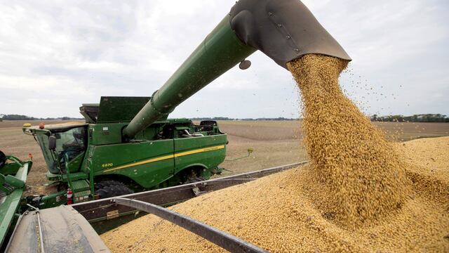 De los 600 dólares que vale la soja el productor salteño recibe sólo 193. Imagen ilustrativa. (AP)